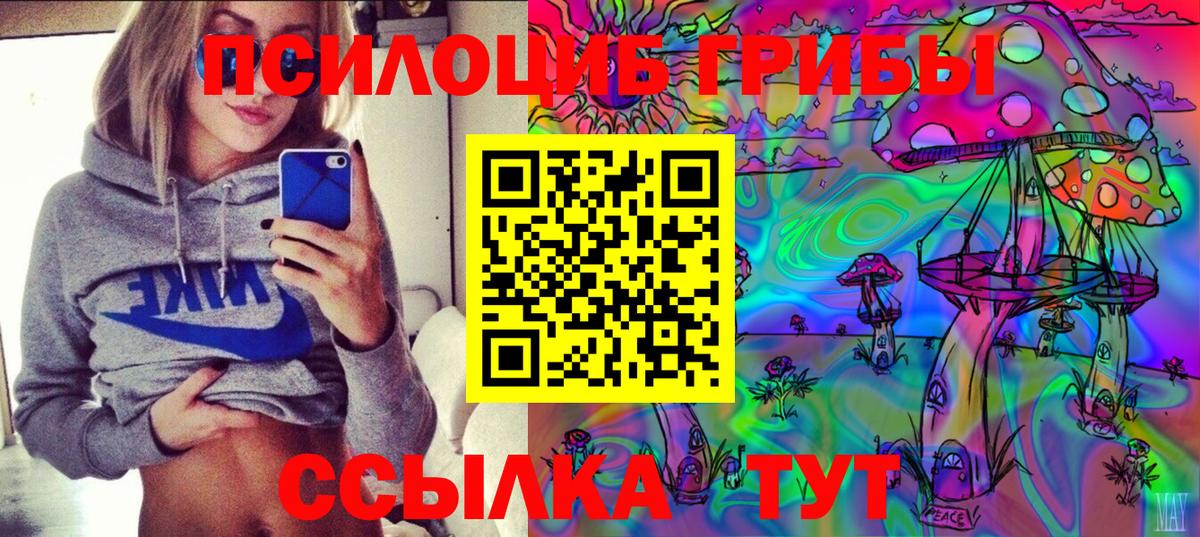 Псилоцибиновые грибы Cubensis  Вход с VPN  Галлюциногенные грибы Cubensis  Долгопрудный 