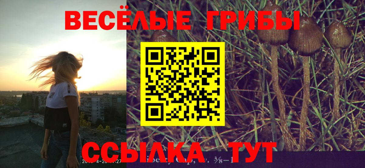 Каннабис  LSD-25  ГАШИШ  МЕФ кристаллы  Мефедрон  Вход с VPN  Долгопрудный  Cocaine 